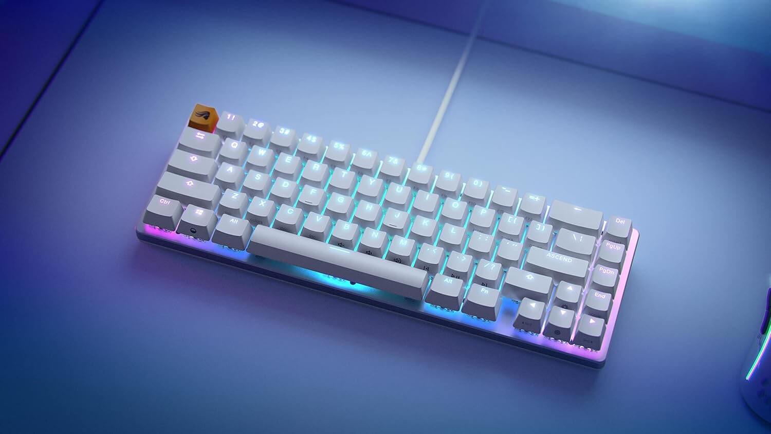 Glorious GMMK Compact 61 Key Mechanical Gaming Keyboard - Ice Edition